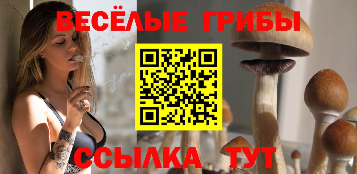 Псилоцибиновые грибы ЛСД  Вход с VPN  Мариинск 